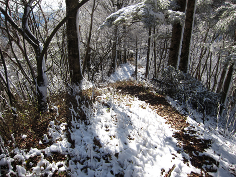 20191129hike (221)